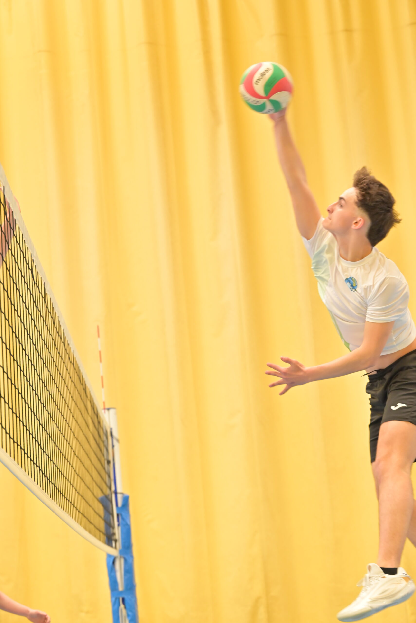 Programa ZGZ Volley Cup