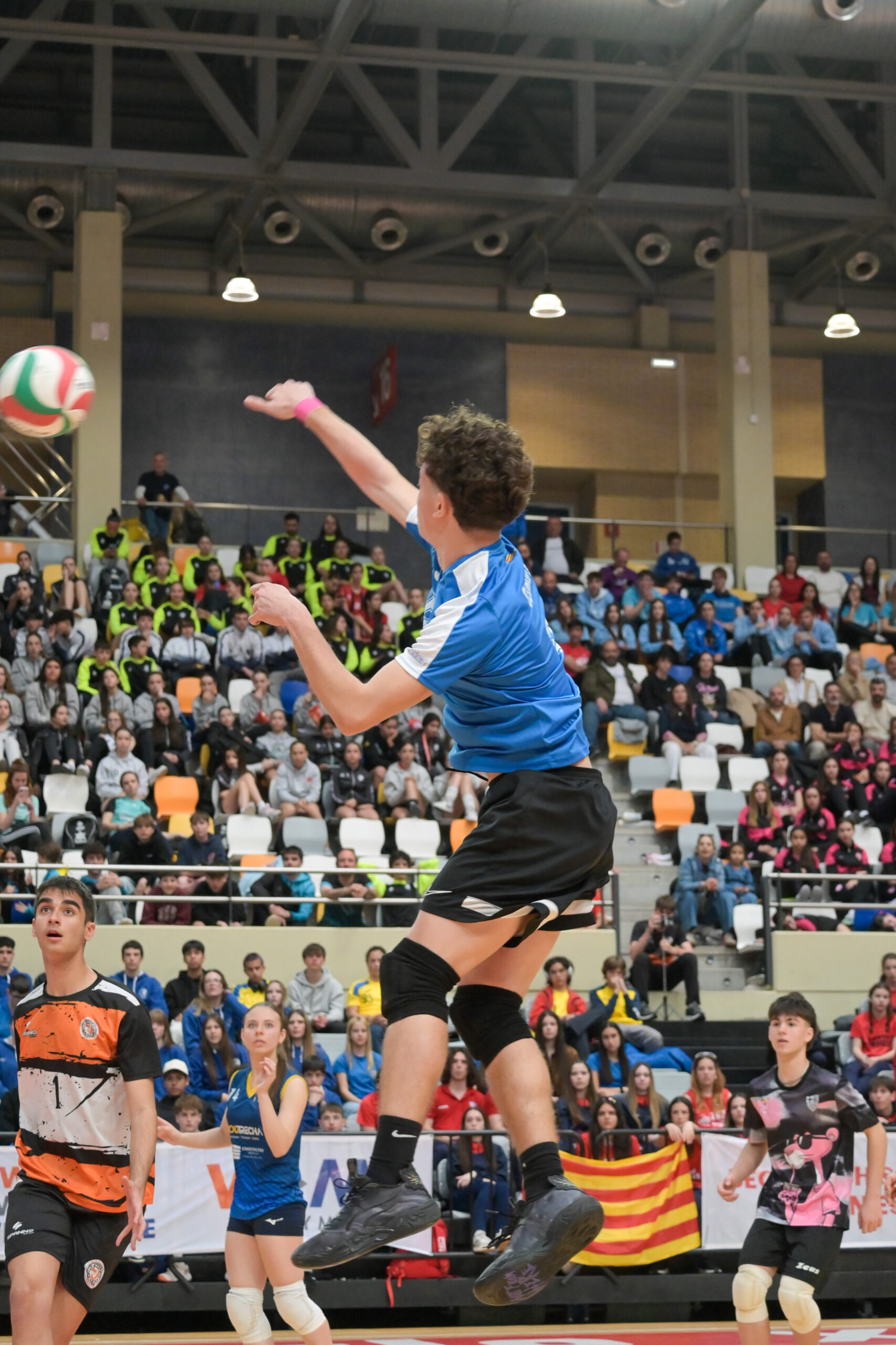 Evolución ZGZ Volley Cup